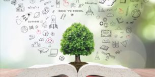 sasb-organizeaza-webinarul-accelerarea-schimbarii-prin-intermediul-prezentarii-informatiilor-sociale-a6739-305×151