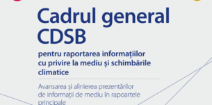 CDSB-Framework-RO-poza-doar-pentru-prima-pagina-site-1-305×151