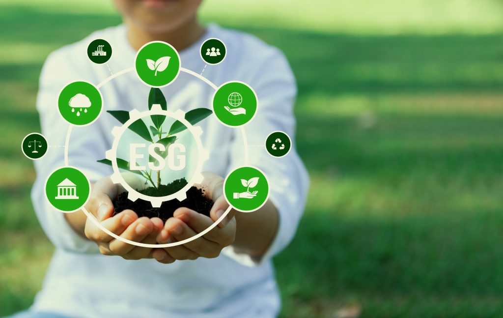 223095291_l-1024×647