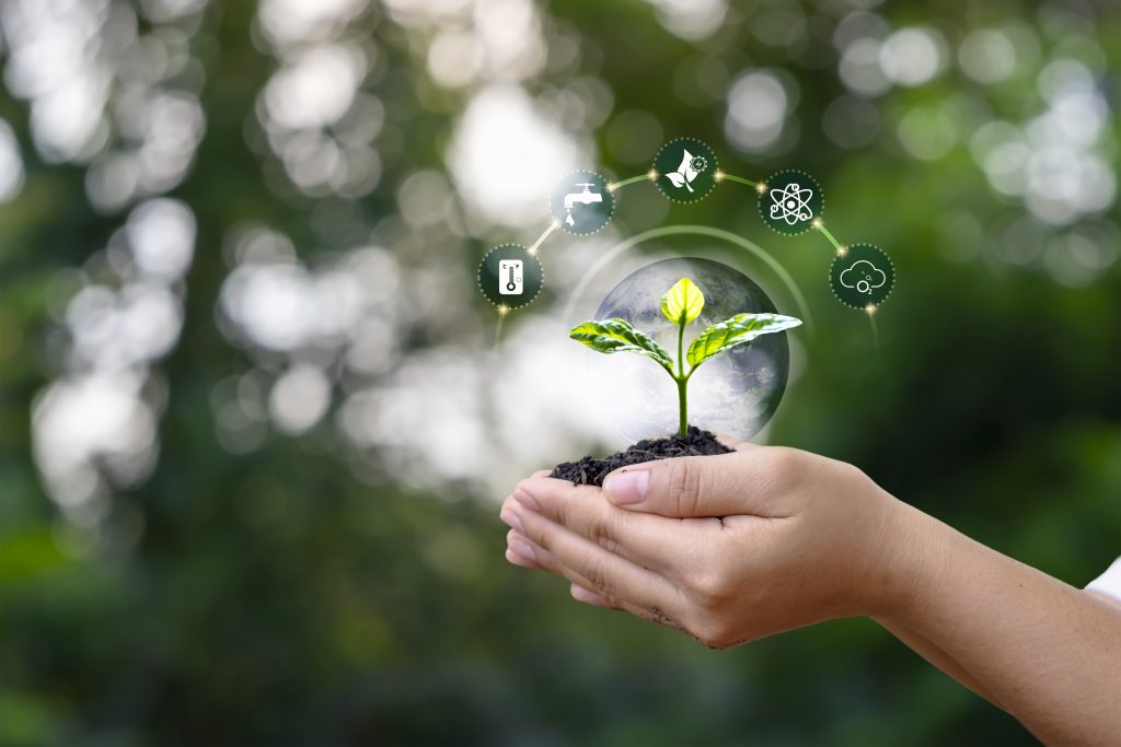 trees-growing-soil-human-hands-plant-growth-factors-icons-trees-earth-day-concept-1024×683