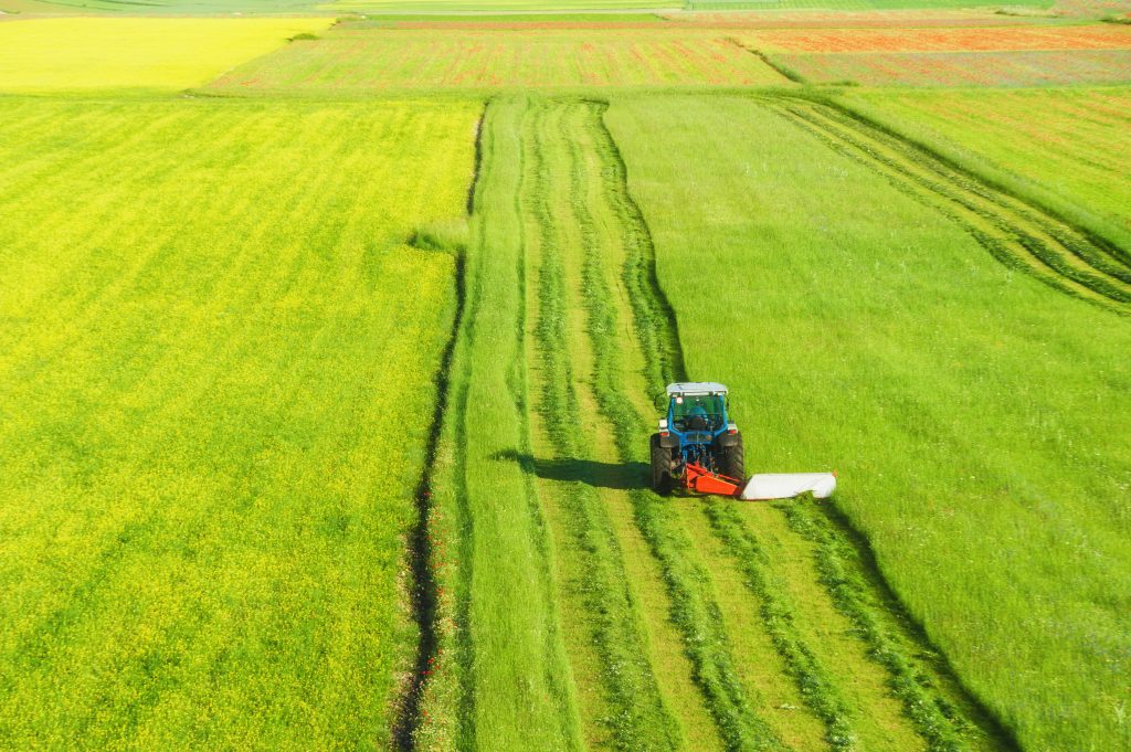 29967171_l-1024×681